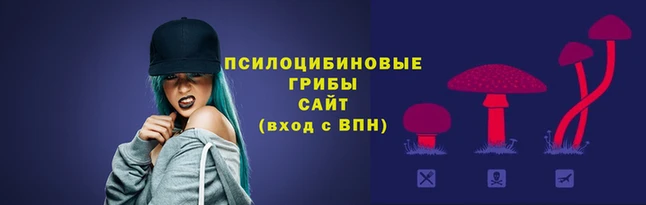 винт Михайлов