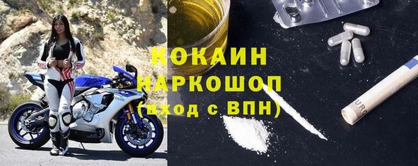 хмурый Белая Холуница