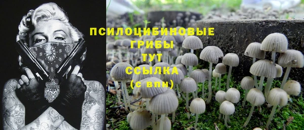 спайс Надым