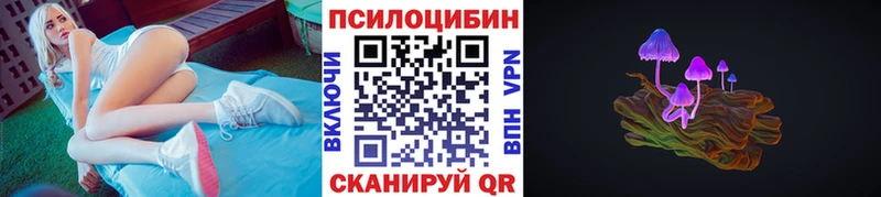 Псилоцибиновые грибы Psilocybe  Петрозаводск 