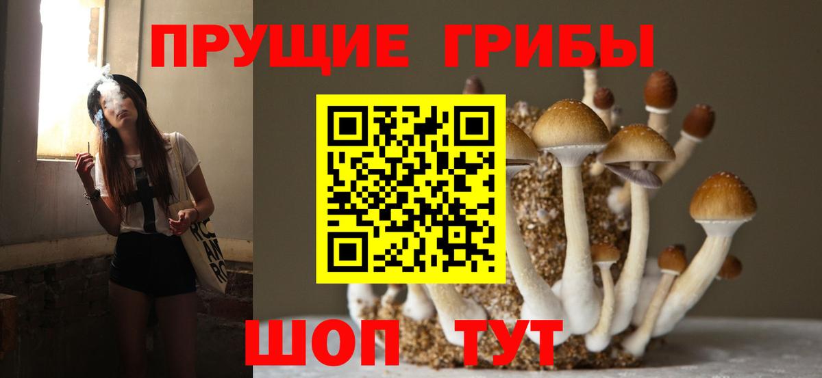 Галлюциногенные грибы мицелий Петрозаводск